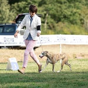 Meet your Posher, Shelby